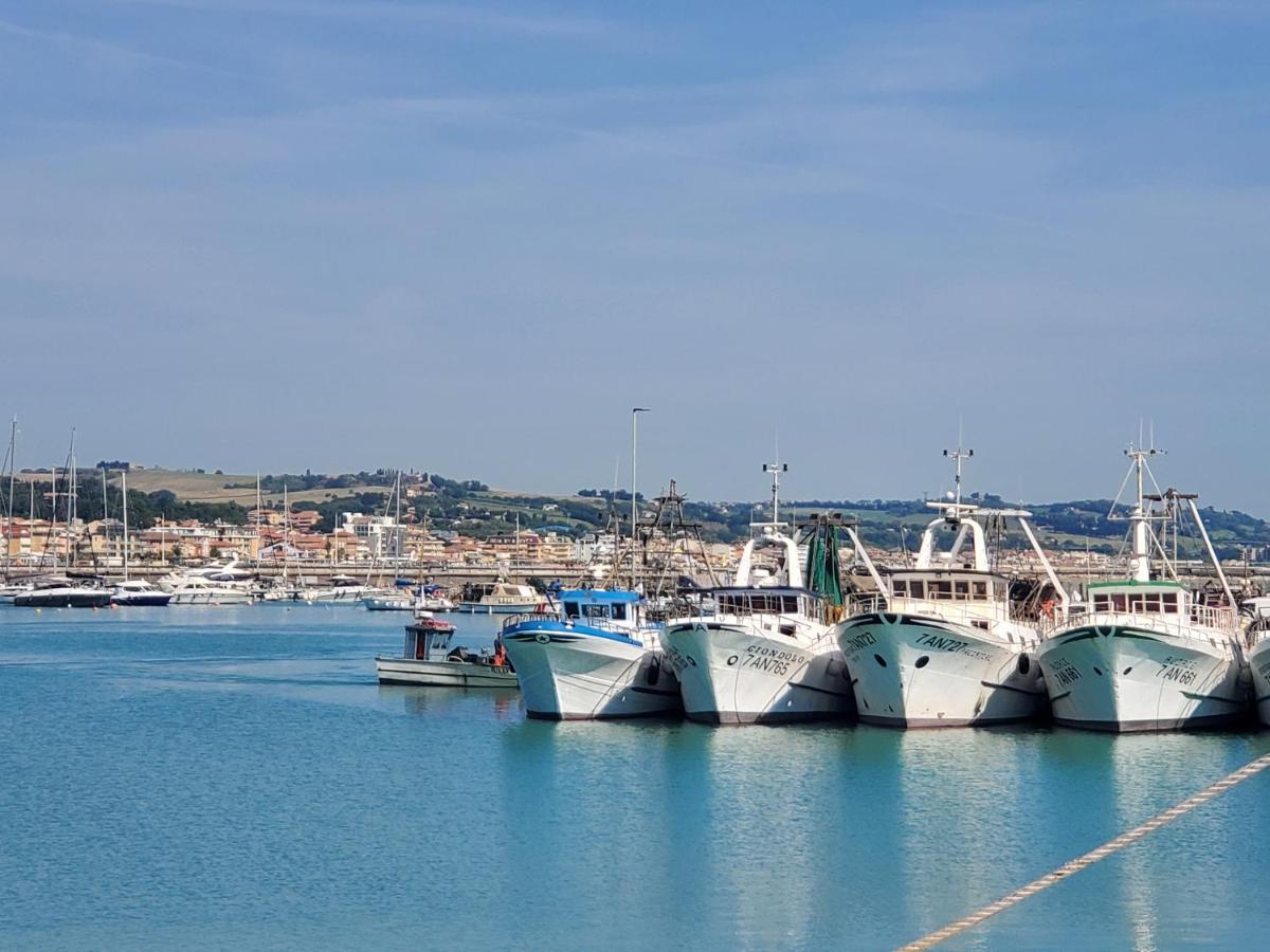 B&B Lido Apartament 10A Civitanova Marche Eksteriør billede