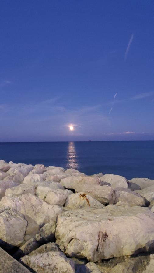 B&B Lido Apartament 10A Civitanova Marche Eksteriør billede